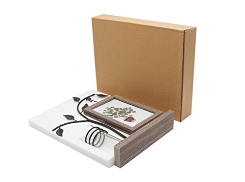 Leoyoubei Black Metal Cat Head Shape Double-Sided Hanging Picture Frame Brown Holds 2 Pcs 4X6 Inch Vertical Photos With Glass Front For Desk,With Hydroponics Or Artificial Plants Glass Vase-Wedding #TOP6