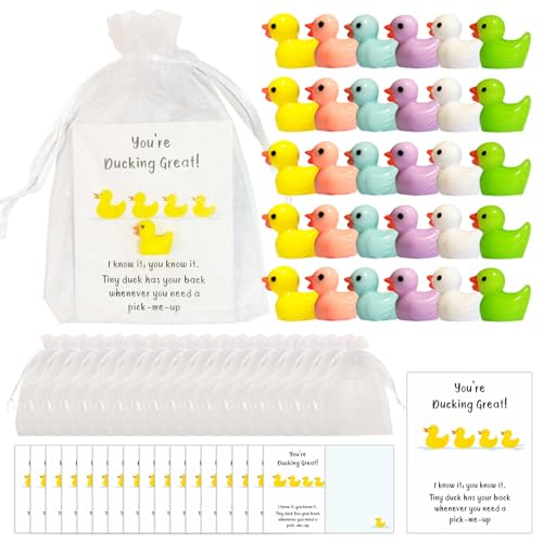 Artreeiger 30 Sets Inspirational Gift Include You're Ducking Great Cards Thank You Gifts Funny Cards Mini Resin Ducks Organza Bags Bulk for Students Coworkers Employee Appreciation Gifts Pocket Favors