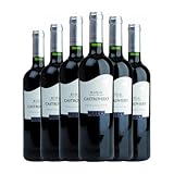 Castroviejo Rioja Joven 75 cl Vino tinto (Caja de 6 Botellas de 75 cl)