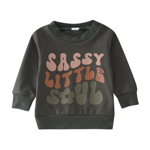 Boys and Toddlers' Fleece Hoodie Sweatshirt Toddler Boys Girls Long Sleeve Letter Prints T Shirt Lightweight