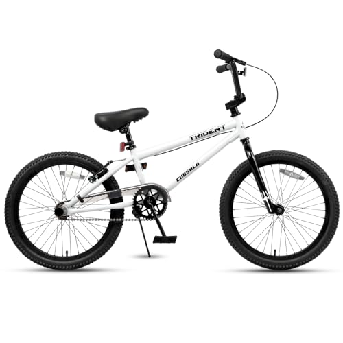 cubsala 20 Inch BMX Race Bike