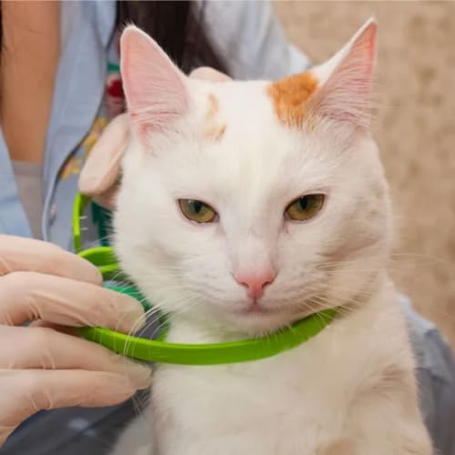 Kit 02 Coleiras Antipulga e Carrapato TEA para Gatos