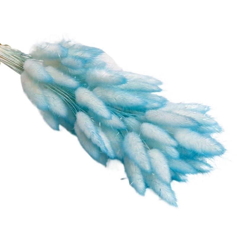 Ramo de Pasto Pampas Seco Natural 30 piezas Marrón miniatura 4