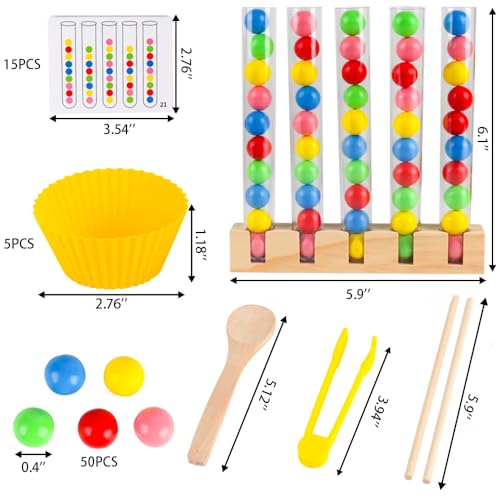 Image of Montessori Color Sorting Toys for Toddlers 2 3 4 5 6, Early Education Color Matching Bead Game, Boys Girls Birthday Gift