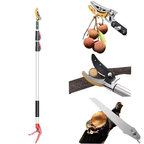 }؂oT~ Lk ΂ } ΂ }؂ ւnt y  O }؂ mRM ʕ̓EݎA}̑点 (iLk, 1.35m-2m)