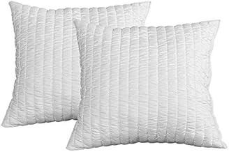 EVERGREENWEB 50x50 cmOreiller Lot de 2 | Oreillers décoratif Coussin memoire Forme pour Matelas, lit et canapé | Oreiller fabriqué en EU | Garantie de Remplissage | Garantie de Taille
