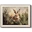 Animals-【Bunny】 Animals-【Bunny】