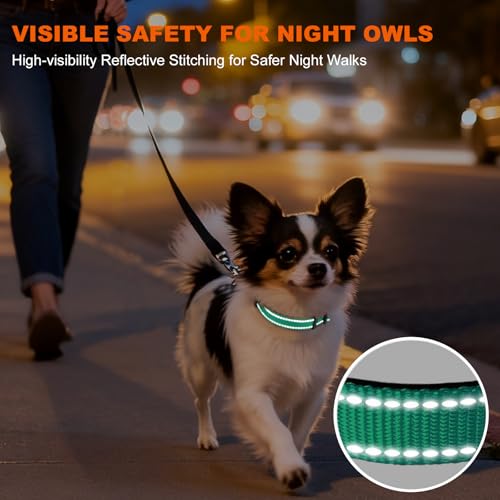 Taglory Hundehalsband, Weich Gepolstertes Neopren Nylon Hunde Halsband für Welpen, Verstellbare und Reflektierend für das Training, Türkis