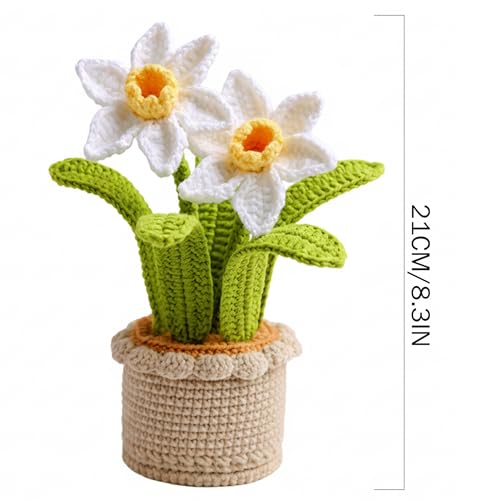Narcisos de ganchillo regalo artesanal de flor tejida blanca con maceta de hilo 6