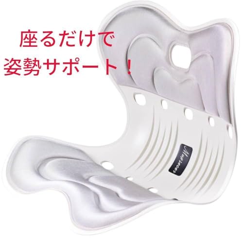 ՃT|[g`FA p `FA NbV LwP ֎q