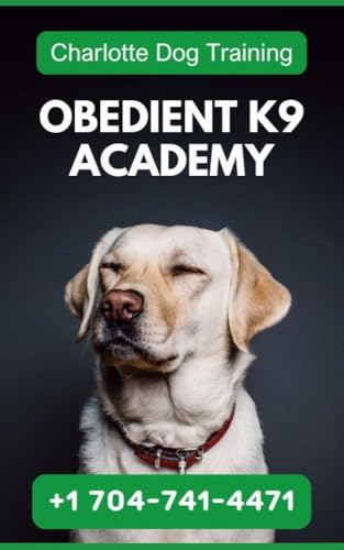 Charlotte Dog Training - Obedient K9 Academy's Tailored Approach: How to Choose the Perfect Dog Training Program: Puppy Training Charlotte NC
