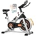 YOSUDA Indoor Cycling Bike Stationary - Cycle Bike with Ipad Mount &Comfortable Seat Cushion (Gray)