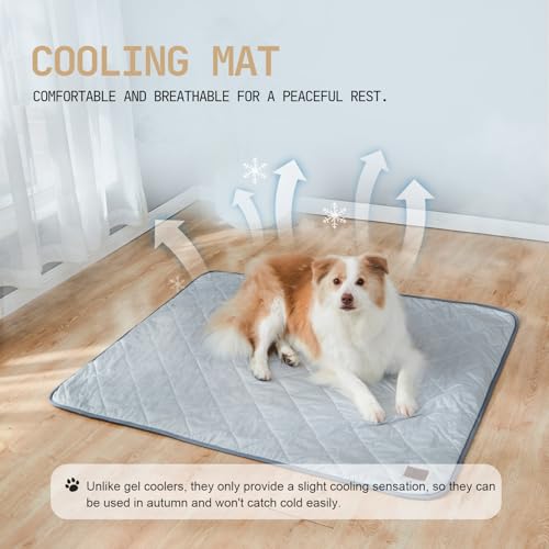 Snocyo Kühldecke für Hunde waschbar, Q-MAX0.4, wasserdichte Hundedecke 75×60cm, doppelseitige kühlende und plüschige Haustierdecke, kühlende Sofadecke für kleine Hunde