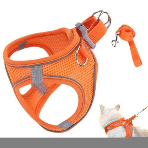 Phewl Cat Harness Eh~,\tgbVxXg ːSXgCvt | ^ ^ ^ ybg xXgJ[ oR Lv AEghAp