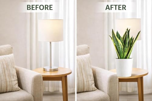 Image of Live Snake Plant with 3 Inch Nursery Pot | Sansevieria Air Purifying Indoor Plant | Low Maintenance Evergreen Houseplant for Home Office Bedroom Living Room Balcony Decor | Pack of 1