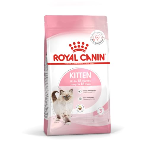 Image of Royal Canin Kitten Food for Stage 3 Kittens, 1.2 Kg, Dry Food, Supports Strong Immune System & Brain Development