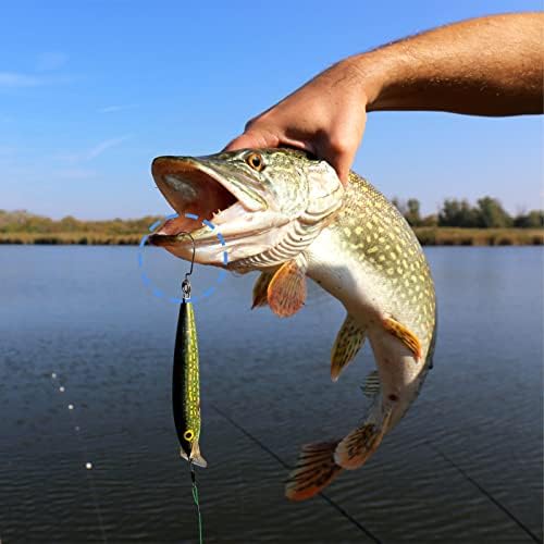 50Pcs Barbed Fishing Hooks Set Offset Fishing Hooks Set High Carbon Steel Eyed Sea Fish Hooks Carp Circle Hooks with 50Pcs Green Fishing Beads for Freshwater Saltwater Fish Trackle(5 Sizes)