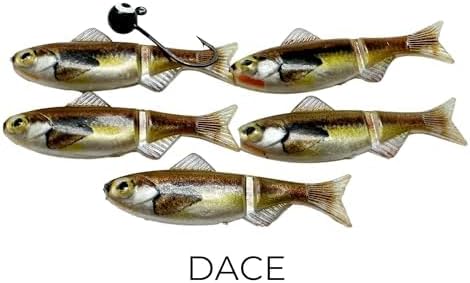 Field Tester Kit – 1/16 & 1/32 oz Sizes | 8 Jig Minnow Types (Shad, Perch, Patriot, Rainbow, Dace, Crappie, Sunfish, Blue Sunfish) | 40 Total Pieces per Kit