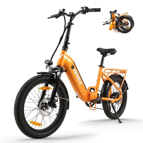 VAKOLE VT4 E-Bike Klapprad 20 Zoll Tiefeinsteiger Elektrofahrräder mit 36V...