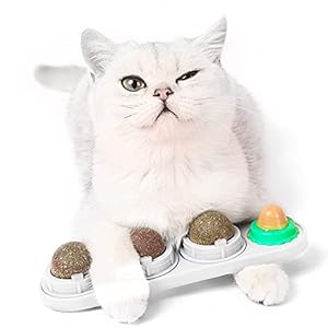 Fortune-Star Boule Herbe à Chat à Lécher,Boule Herbe a Chat Murale,Jouet Herbe a Chat avec Boules à Lécher de Cataire Comestibles, Snack Rotatif et Jouet à Mâcher pour Chaton (Blanc)