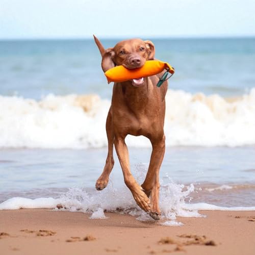Romneys Hundetraining Dummy 500g - Robust & Schwimmfähig, Apportierprüfungen Zugelassen - Ideal für Wasserarbeit, aus Reißfestem Canvas (orange)