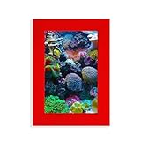 Cantidad del paquete: 1 marco Océano colorido ciencia naturaleza imagen imagen visualización arte marco de fotos rojo