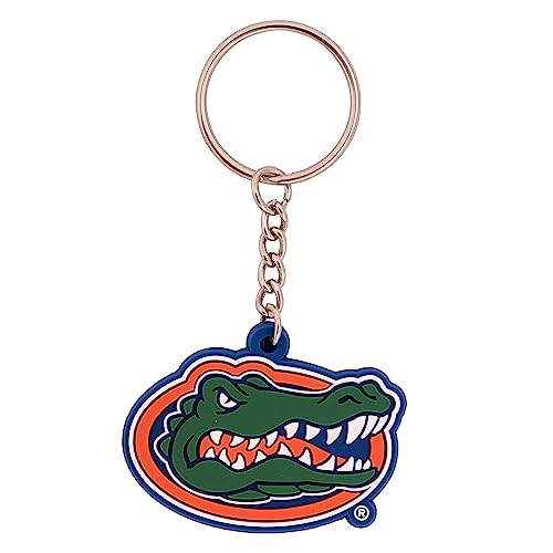 Desert Cactus University of Florida PVC Keychain UF Gators Bag Tag, Backpack, Car, Gift, Souvenir, Key Ring (PVC A)