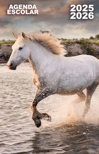 Agenda escolar 2025-2026: para estudiantes primaria y secundaria, organiza tu curso día a día, para tareas, notas y horarios.