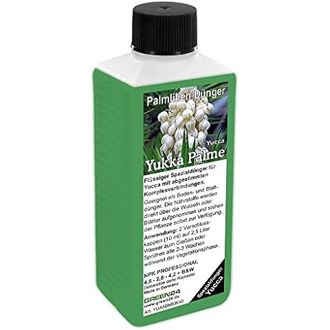 Yucca Palm Fertiliser, Premium Professional Liquid Fertiliser Cover