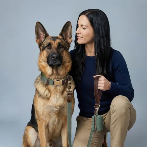 Image of Didog PU Leather Dog Collar for Large Dogs, Soft Nylon Lining, Green XL