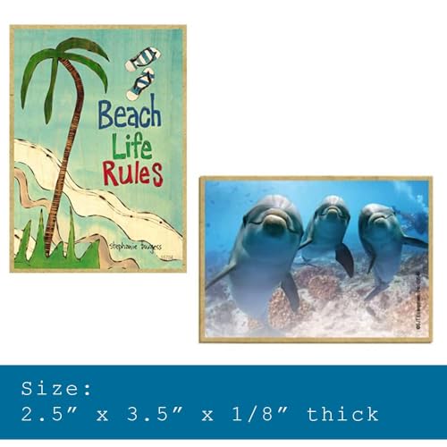 SJT-ENTERPRISES-INC-Let-Your-Faith-Be-Bigger-Than-Your-Fear-Wood-Fridge-Kitchen-Magnet-Primitive-Design-Made-in-USA-Measures-25-x-35-SJT00108 SJT ENTERPRISES INC Let Your Faith Be Bigger Than Your Fear Wood Fridge Kitchen Magnet Primitive Design Made in USA Measures 25 x 35 SJT00108