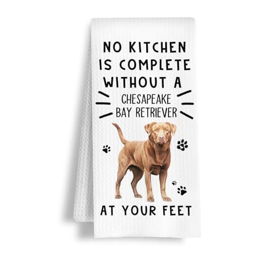 HSIASHENG Funny Chesapeake Bay Retriever Hand Towels for Kitchen Home Bathroom Decor, A Kitchen is Not Complete Without A Chesapeake Bay Retriever Dish Towel, Dog Lovers Gift, 16×24 Inch