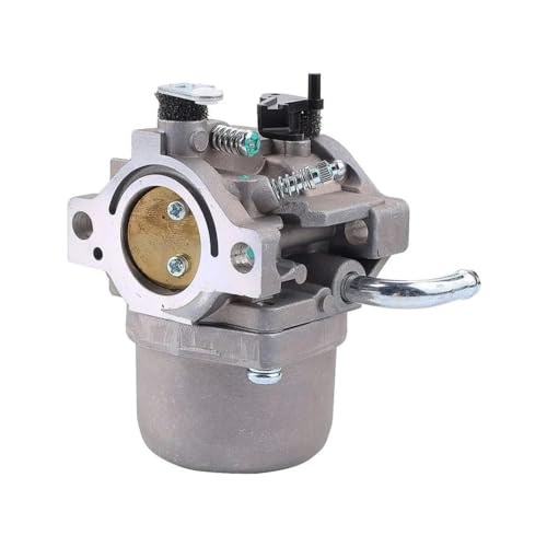 Carburateur 796077 régulateur de régime moteur 21A807 21B907