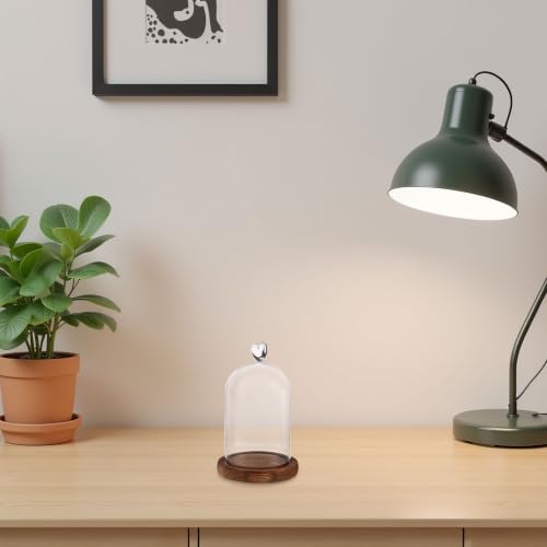Cúpula de cristal para proteger flores del polvo con luz integrada 8