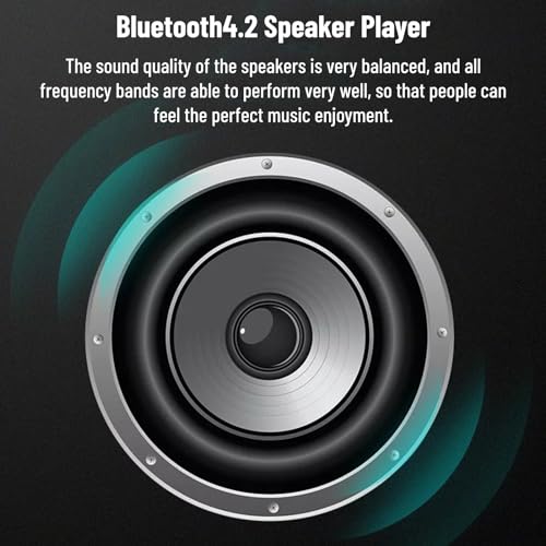 Bluetooth Speaker AEC Smart Mini Portable Bluetooth Speaker with TF Player and Volume Control BT209,wearresistant and Shockproof(Black)