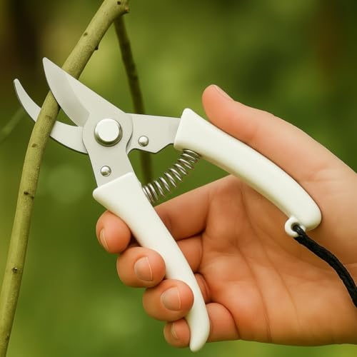 Image of DeoDap Hand Pruner Cutter For Plants - Heavy Duty Steel Blade Garden Pruning Shears - Sharp Plant Trimming Tool for Branch Cutting Grass Shrub Hedge Maintenance Ergonomic Grip Durable Use (Pack of 1)