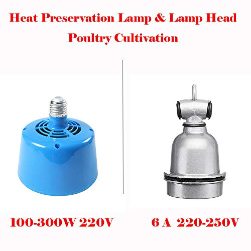 BE-TOOL Pet Heat Lamp,1PC E27 Type Heat Lamp Bulb Accessories Ceramic Infrared Waterproof Heat Bulb for Pet Brooding