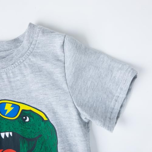 Image of HILEELANG Toddler Boy Summer Outfit Set 2 Piece Short Sleeve T Shirt and Short Soft Breathable Cotton Clothing Sets 2-7T