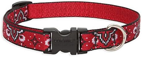 LupinePet 3/4-Inch Wild West 9-14-Inch Adjustable Dog Collar for Small to Medium Dogs