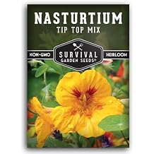 Nasturtium Seeds for Planting Outdoors Tip Top Mix Heirloom Variety of Edible Flowers & Companion Plants, Non-GMO Seeds for Home Gardens - Survival Garden Seeds 1 Pack