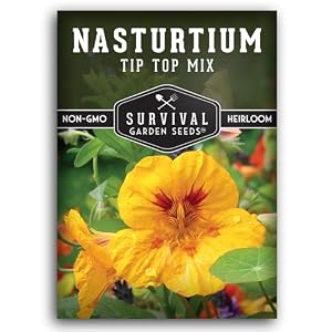 Nasturtium Seeds for Planting – Survival Garden Seeds (1 Pack)