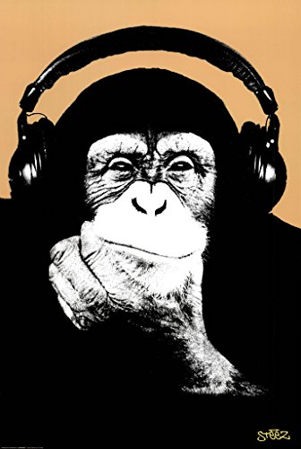 Steez (Headphone Chimp) Art Poster Print