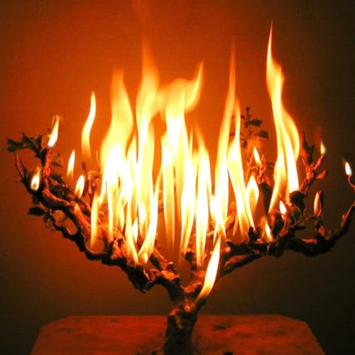 Rischa D'Araisa-Season 12-Episode 26-Hatzolah Call-Rischa's Rapid Response to the Viral Video on Lakewood