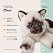 Bearington Cleo Siamese Cat Plush Toy - 15
