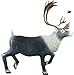 Rinehart Targets 214 Caribou Self Healing Archery Hunting Target
