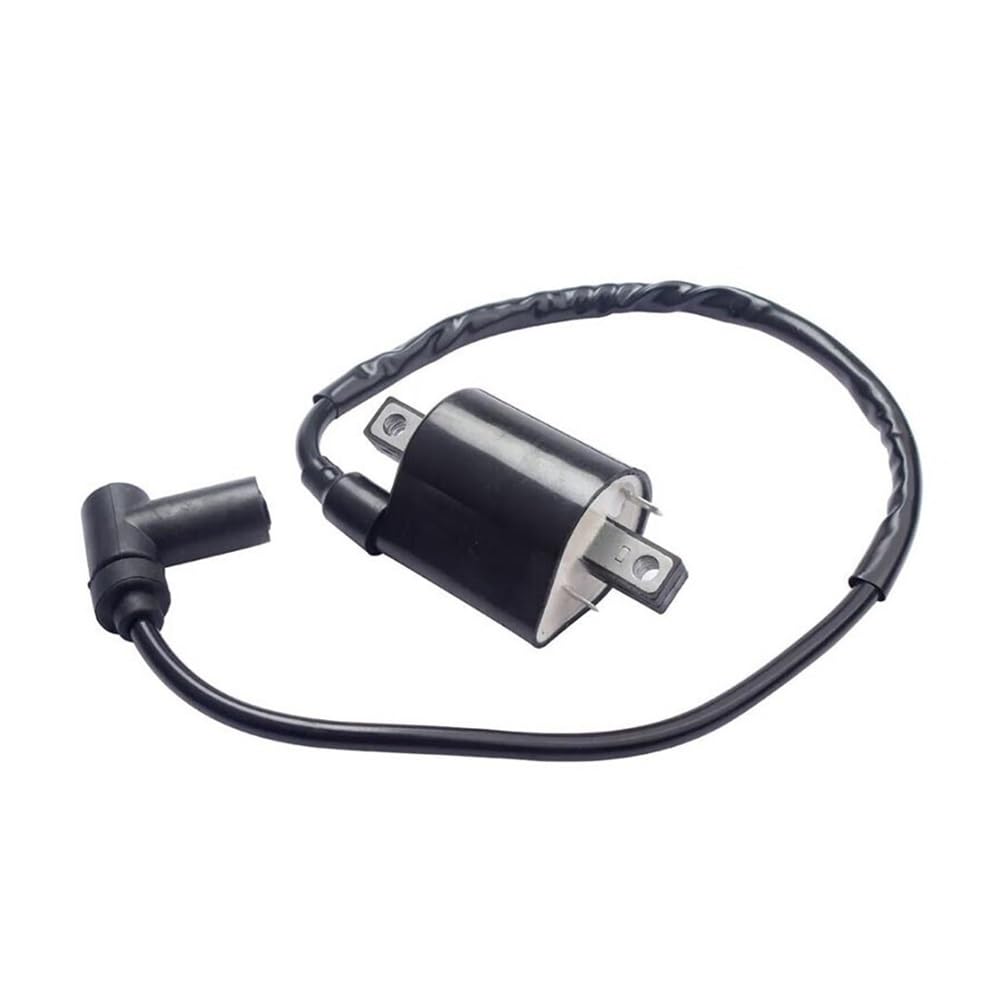 Bujías Bobina de Encendido Bujías para Carro de Gasolina G2 G5 G8 G9 G11 G14 1985 con 3 electrodos
