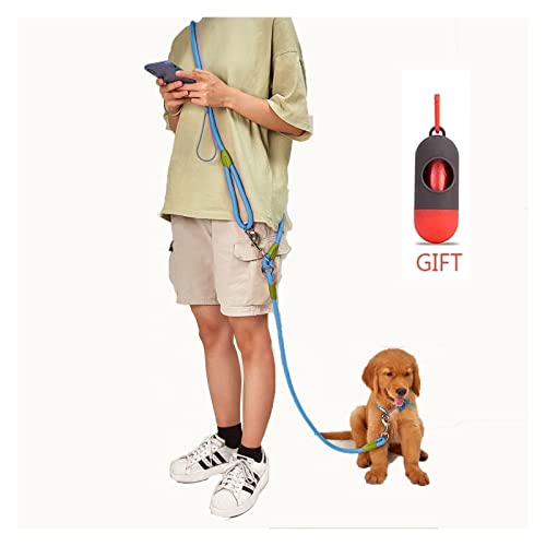 Leash in use during outdoor activities