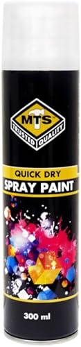 MTS Spray Paint 300 ml, Matt White