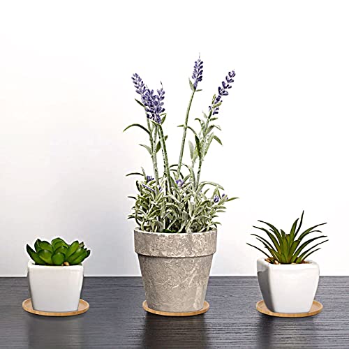 Bestbel 2Pcs 10 Inch Bamboo Plant Saucer, Plant Drip Trays Suitable For 8-10 Inch Plant Pots,Durable Plant Plates To Catch Water Indoor Outdoor,Round Plants Pot Trays For Flower Succulent Cactus(25Cm) #TOP6