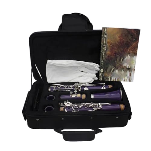 Clarinette Si bémol 17 clés violettes pour apprendre la musique facilement